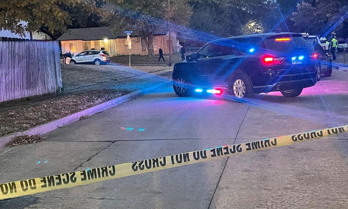 f d b f c e c bb jpeg