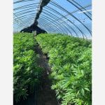 a a e e eb e c abe jpeg a a e e eb e c abe jpeg