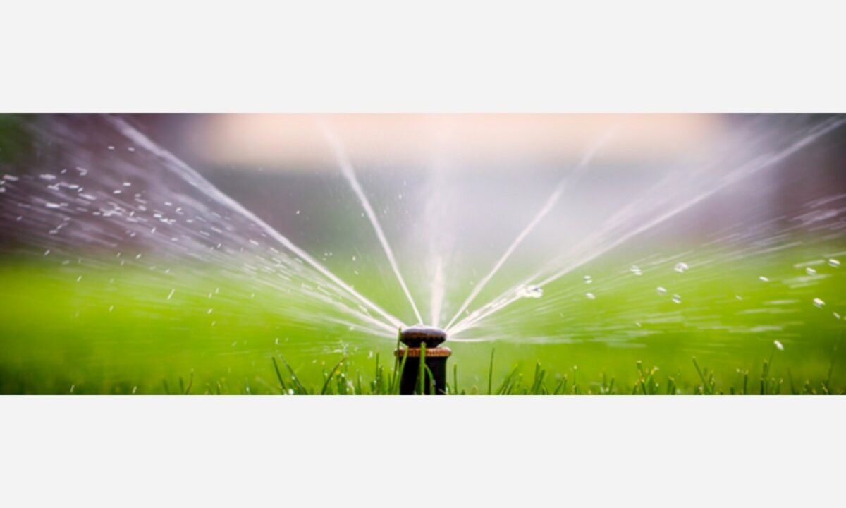 d c a e a d bb b c png