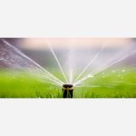 d c a e a d bb b c png