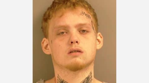 b b d f d b a cd jpeg