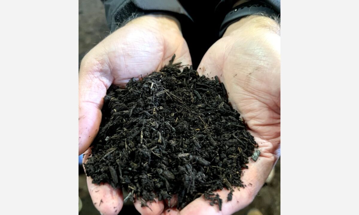 b b da cae be e d f png