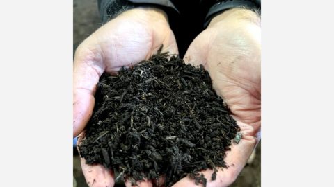 b b da cae be e d f png