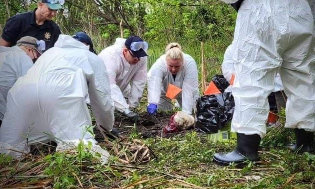 b f d b f b d b df c cb jpeg