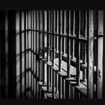 domestic laws jpg domestic laws jpg