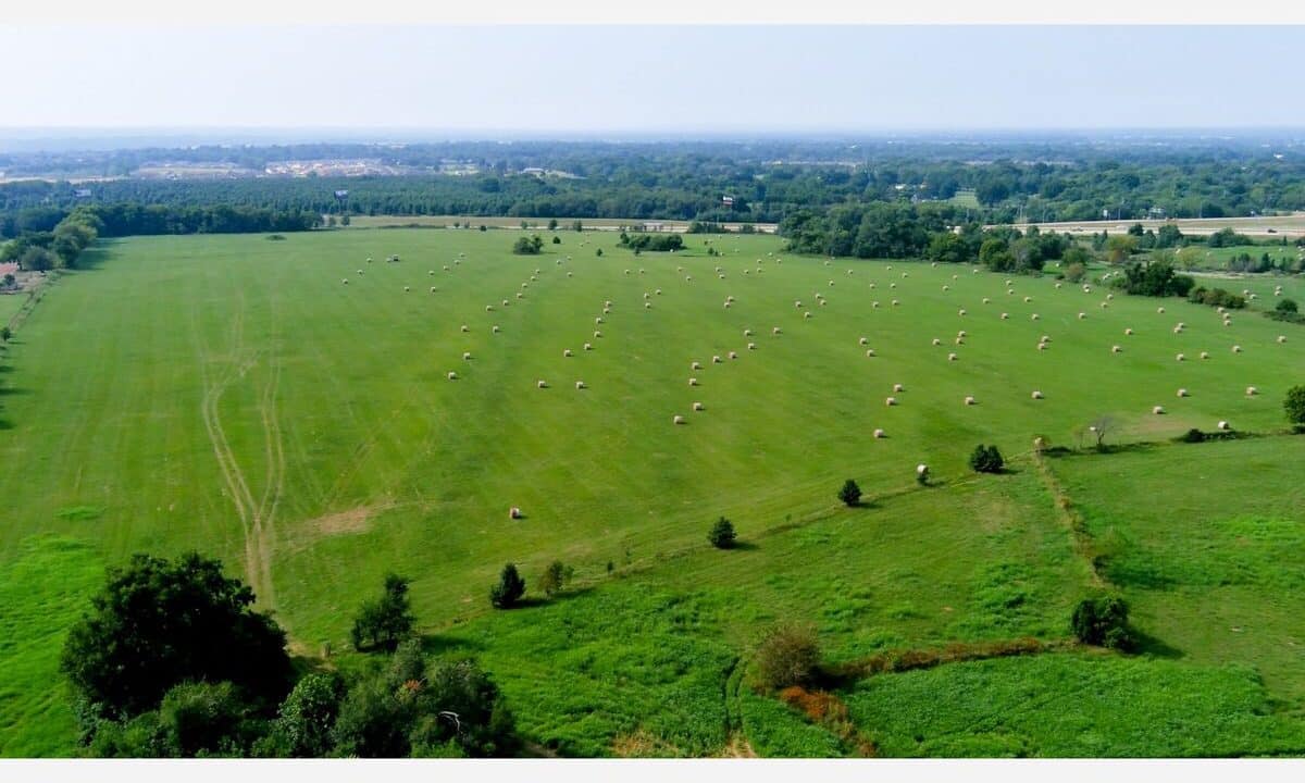 ec fc c a af cb e e jpeg