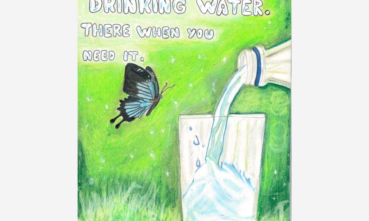 karelis olivares winner png