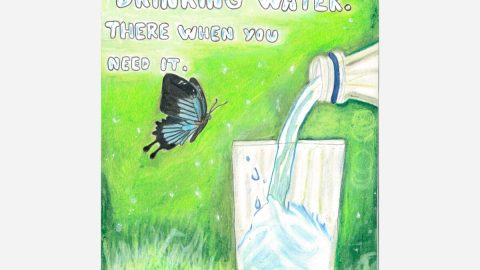 karelis olivares winner png