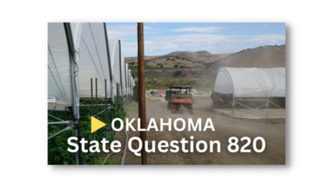 state question png