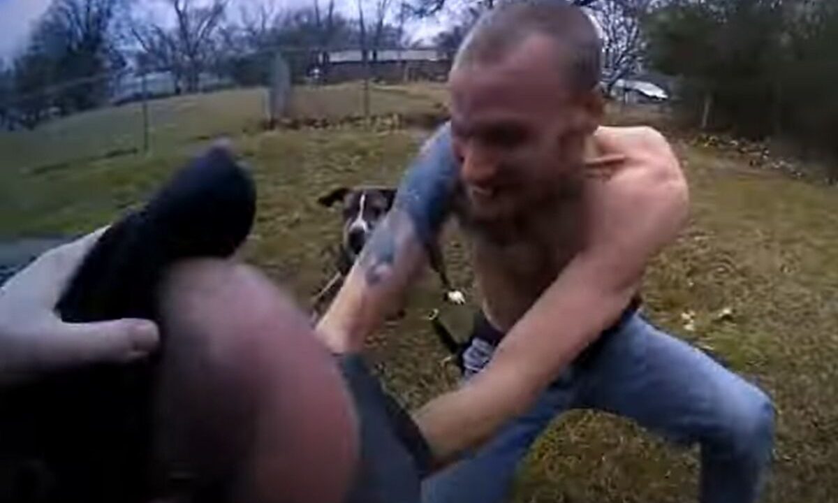 steffon griffin fight png