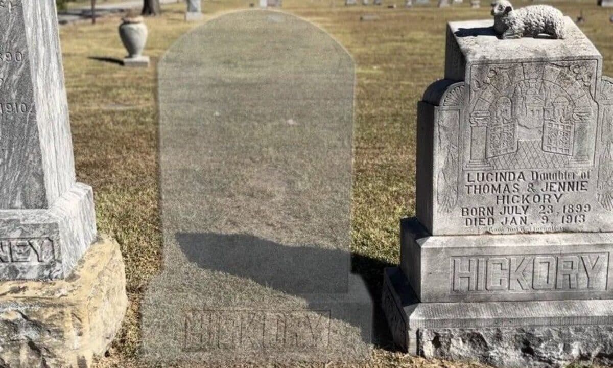 thomas hickory jpg