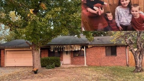 untitled design jpg untitled design jpg