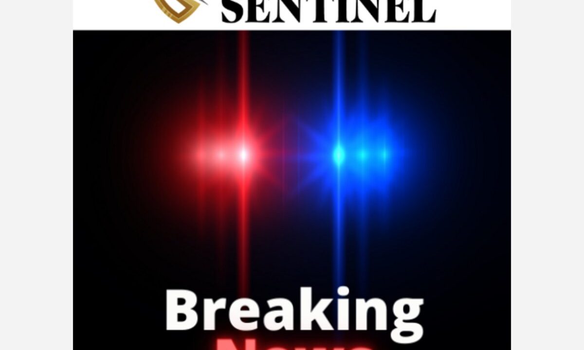 untitled design png