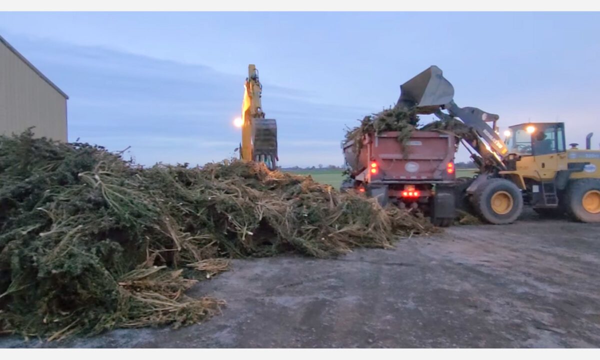 pot bust wagoner cty png