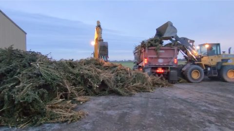 pot bust wagoner cty png