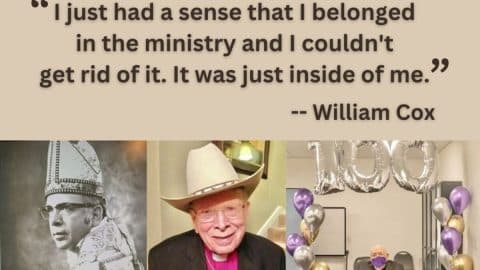 william cox main jpg