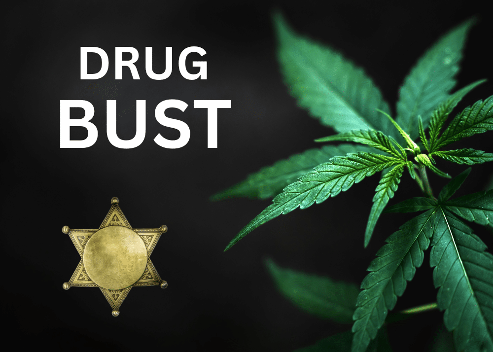 DRUG BUST
