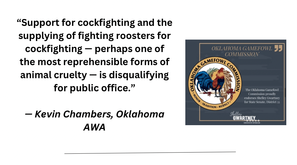 Support for cockfighting and the supplying of fighting roosters for cockfighting — perhaps one of the most reprehensible forms of animal cruelty — is disqualifying for public office %