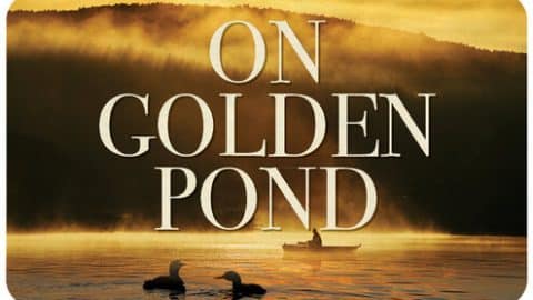 golden pond slider