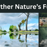 Storms Turn Deadly