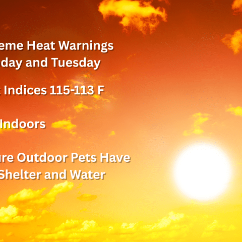 Extreme Heat
