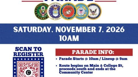 BA Veterans Day parade